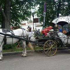 Апартаменты Александровские Усадьбы, Суздаль, Владимирская область