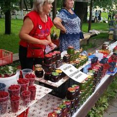 Апартаменты Александровские Усадьбы, Суздаль, Владимирская область