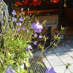 Апартаменты Александровские Усадьбы, Суздаль, Владимирская область