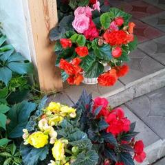 Апартаменты Александровские Усадьбы, Суздаль, Владимирская область