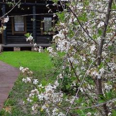 Гостевой дом На Покровской 45а, Суздаль, Владимирская область