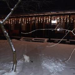 Гостевой дом На Покровской 45а, Суздаль, Владимирская область