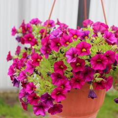 Гостевой дом на Всполье, Суздаль, Владимирская область