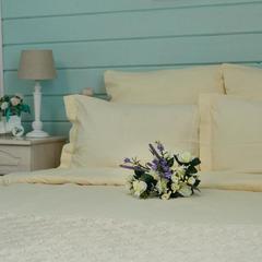 Гостевой дом На Покровской 45а, Суздаль, Владимирская область