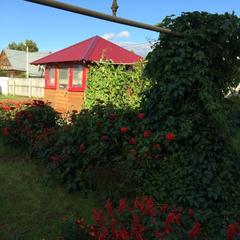 Гостевой дом В центральном парке, Суздаль, Владимирская область