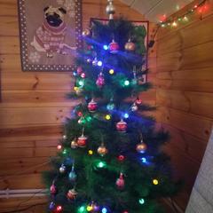 Гостевой дом Эко-дом у реки, Суздаль, Владимирская область