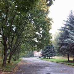 Гостевой дом В центральном парке, Суздаль, Владимирская область