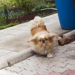 Гостевой дом Эко-дом у реки, Суздаль, Владимирская область