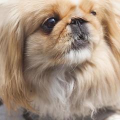 Гостевой дом Эко-дом у реки, Суздаль, Владимирская область