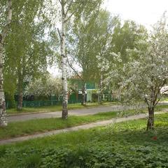 Гостевой дом Эко-дом у реки, Суздаль, Владимирская область