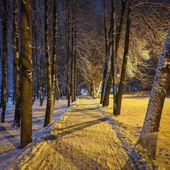Гостевой дом В центральном парке, Суздаль, Владимирская область