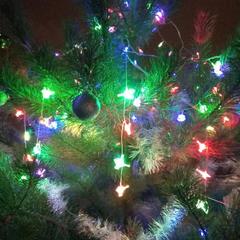 Гостевой дом В центральном парке, Суздаль, Владимирская область