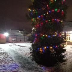 Гостевой дом В центральном парке, Суздаль, Владимирская область