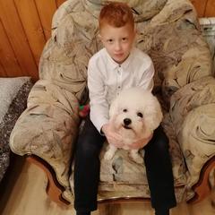 Гостевой дом В центральном парке, Суздаль, Владимирская область