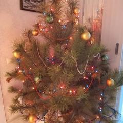 Гостевой дом В центральном парке, Суздаль, Владимирская область