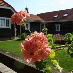 Гостевой двор Веры Федоровны, Суздаль, Владимирская область