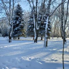 Гостевой дом В центральном парке, Суздаль, Владимирская область