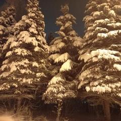 Гостевой дом В центральном парке, Суздаль, Владимирская область