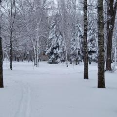 Гостевой дом В центральном парке, Суздаль, Владимирская область