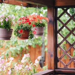 Гостевой дом Горница, Суздаль, Владимирская область