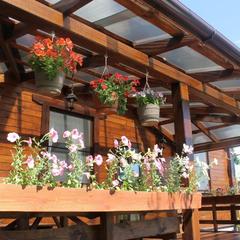 Гостевой дом Горница, Суздаль, Владимирская область