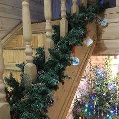 Отель Домашний пансион Понка Хаус, Суздаль, Владимирская область