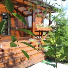 Гостевой дом Горница, Суздаль, Владимирская область