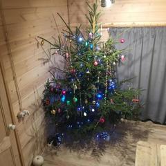 Отель Домашний пансион Понка Хаус, Суздаль, Владимирская область