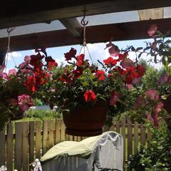 Гостевой дом Горница, Суздаль, Владимирская область