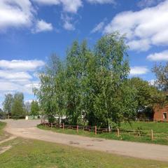 Отель Домашний пансион Понка Хаус, Суздаль, Владимирская область