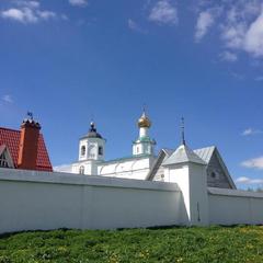 Отель Домашний пансион Понка Хаус, Суздаль, Владимирская область