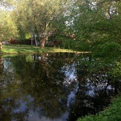 Отель Домашний пансион Понка Хаус, Суздаль, Владимирская область