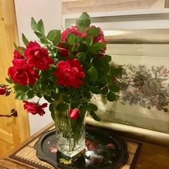 Отель Домашний пансион Понка Хаус, Суздаль, Владимирская область