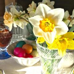 Отель Домашний пансион Понка Хаус, Суздаль, Владимирская область