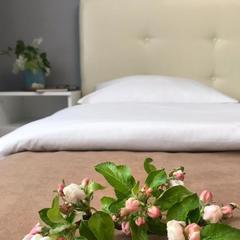 Гостевой дом Царедворье, Суздаль, Владимирская область