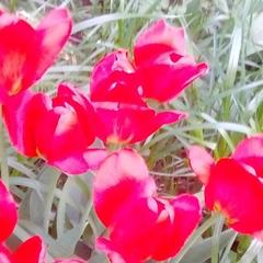 Гостевой дом Марфа и Бобер, Суздаль, Владимирская область