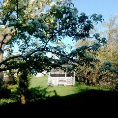 Гостевой дом Марфа и Бобер, Суздаль, Владимирская область