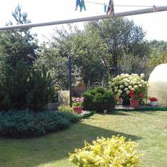 Гостевой дом Костин, Суздаль, Владимирская область