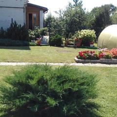 Гостевой дом Костин, Суздаль, Владимирская область