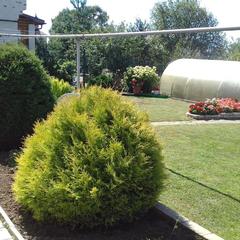 Гостевой дом Костин, Суздаль, Владимирская область