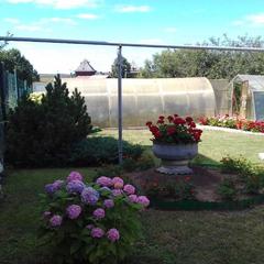 Гостевой дом Костин, Суздаль, Владимирская область