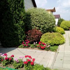 Гостевой дом Костин, Суздаль, Владимирская область