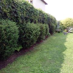 Гостевой дом Костин, Суздаль, Владимирская область