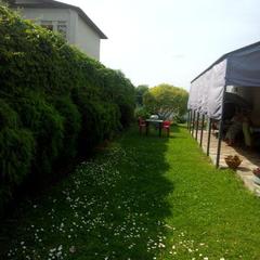 Гостевой дом Костин, Суздаль, Владимирская область