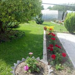 Гостевой дом Костин, Суздаль, Владимирская область