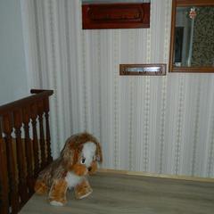 Гостевой дом Хуторок, Суздаль, Владимирская область