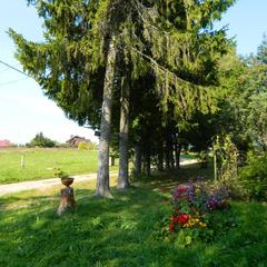 Гостевой дом Хуторок, Суздаль, Владимирская область