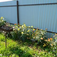 Гостевой дом Хуторок, Суздаль, Владимирская область