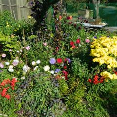 Гостевой дом Хуторок, Суздаль, Владимирская область