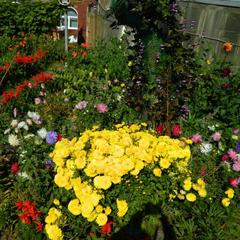 Гостевой дом Хуторок, Суздаль, Владимирская область